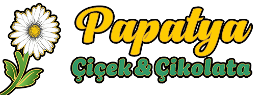 Adana Papatya Çiçekçi
